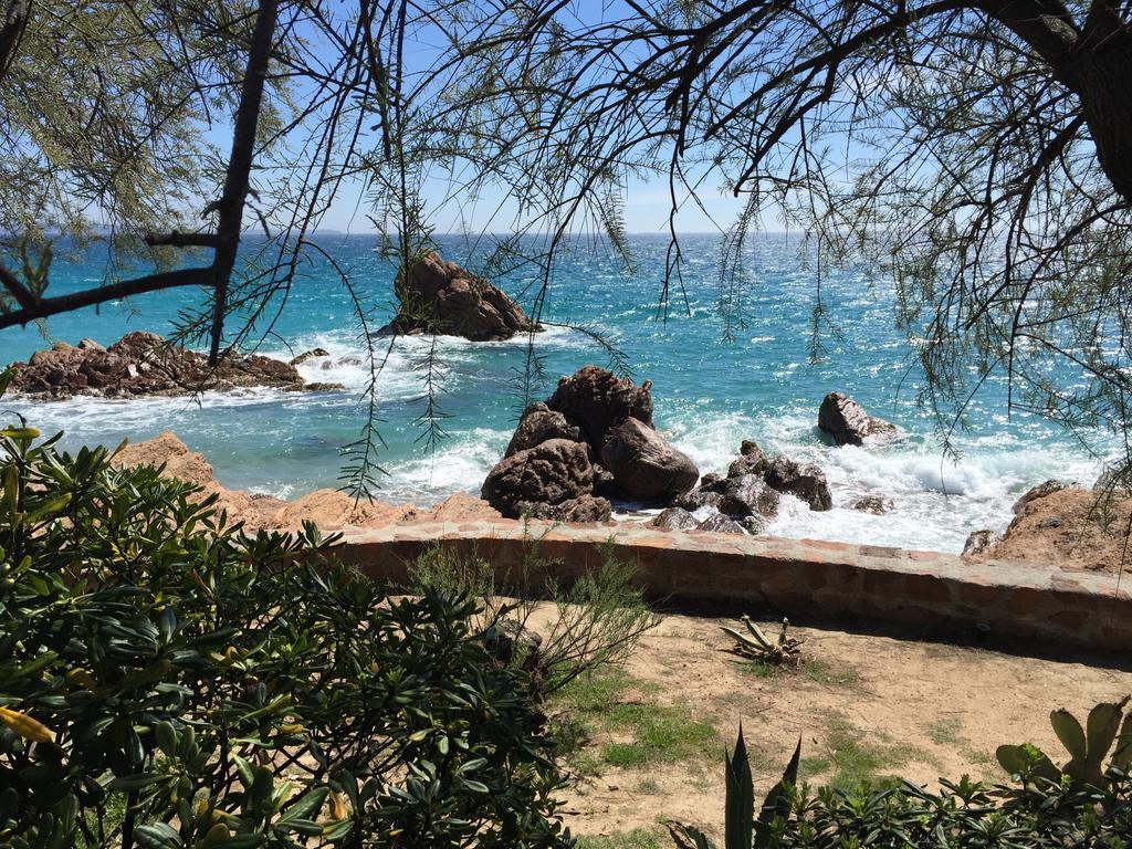 Dionysos Vue Mer Cannes Cameră foto