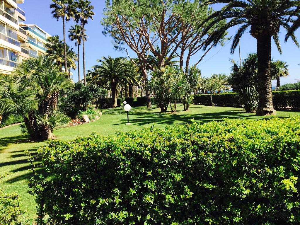 Dionysos Vue Mer Cannes Cameră foto